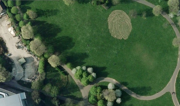 The world's largest "fingerprint"