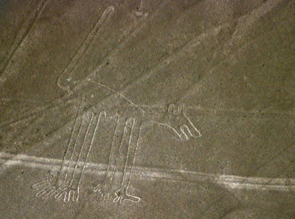 The Nazca Lines