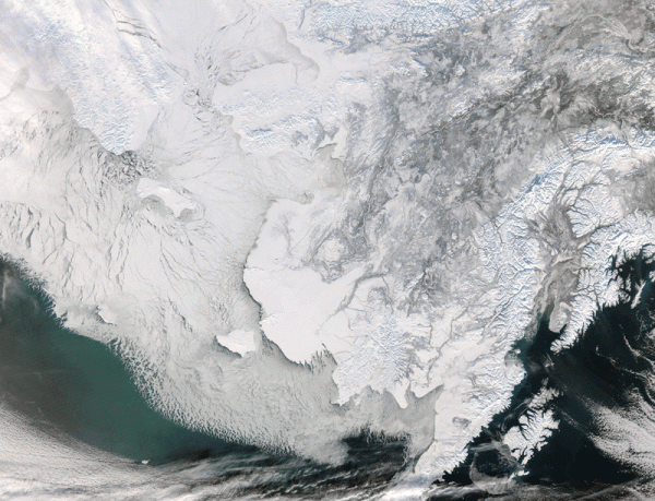 «Мозаика» морского льда в Беринговом проливе в феврале 2009 года