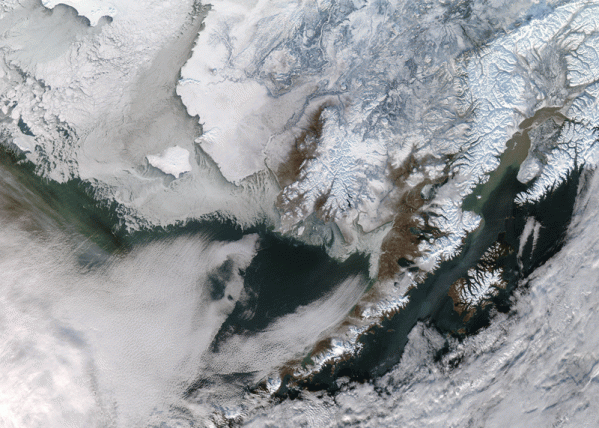 Bering Strait 11 January 2010