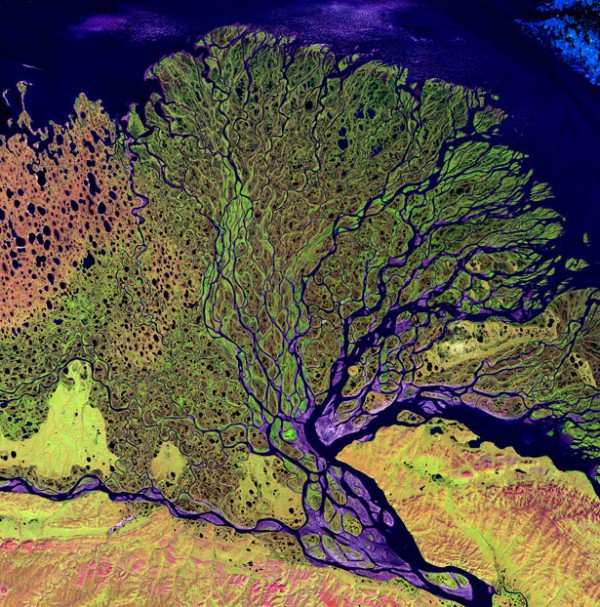 Lena river Delta, Russia