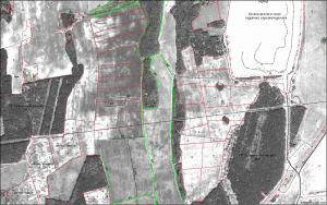 Фрагмент цифровой карты сельскохозяйственного назначения масштаба 1:10 000